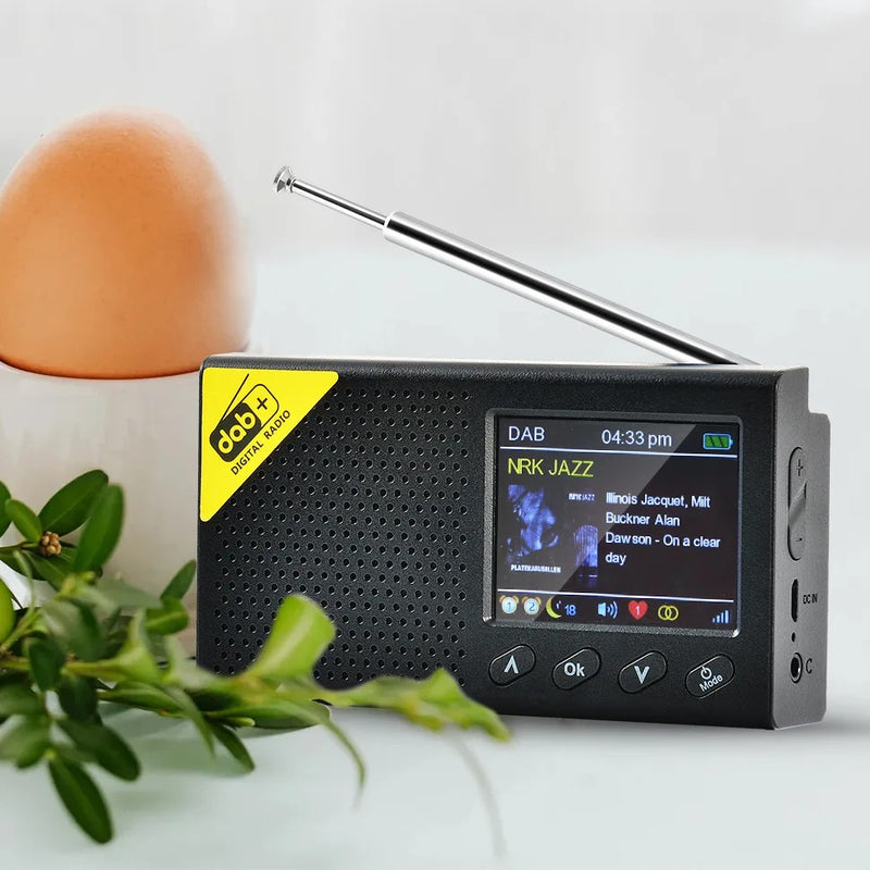 Radio Numérique Terrestre DAB+ FM Portable avec Ecran LCD