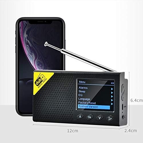 Radio Numérique Terrestre DAB+ FM Portable avec Ecran LCD