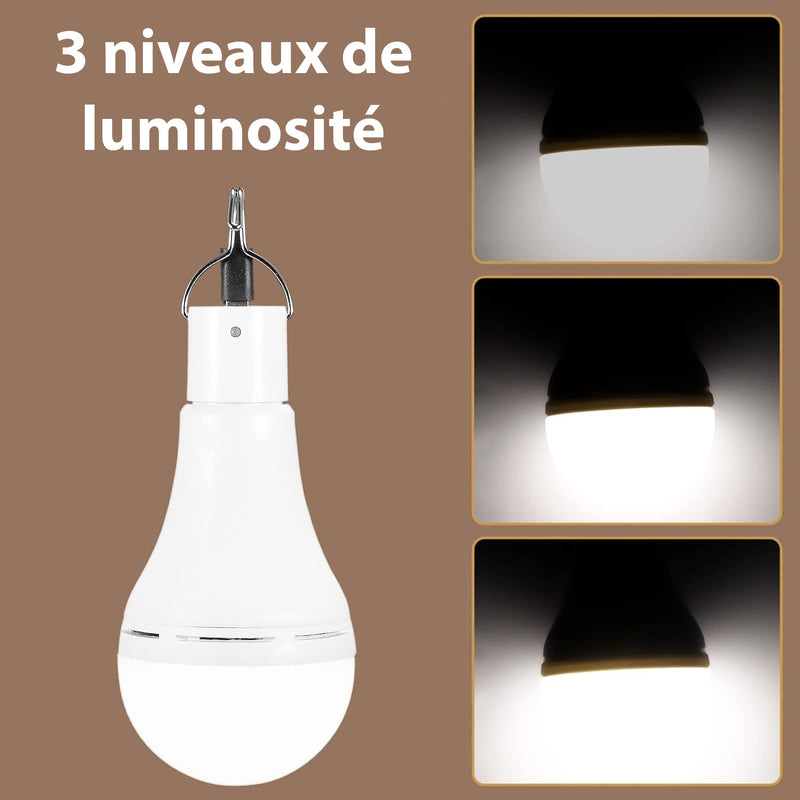 Ampoule Led Solaire - Puissante et Rechargeable 12W