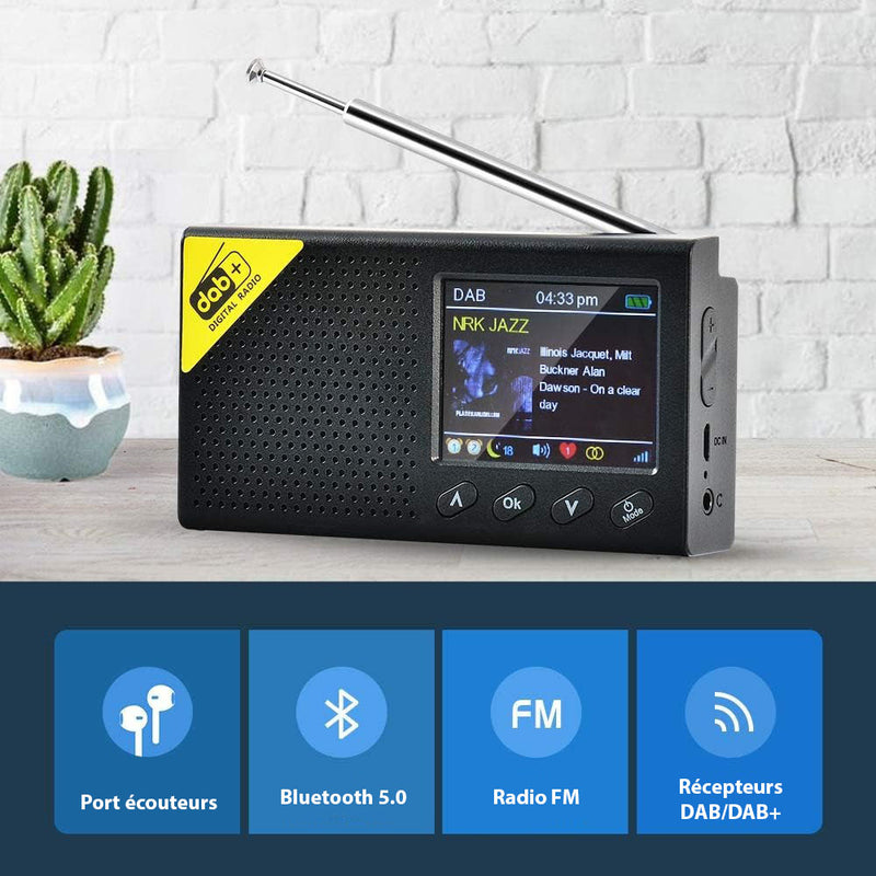 Radio Numérique Terrestre DAB+ FM Portable avec Ecran LCD