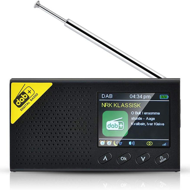 Radio Numérique Terrestre DAB+ FM Portable avec Ecran LCD