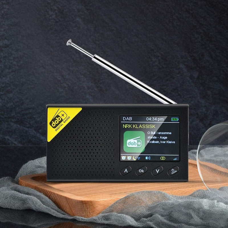 Radio Numérique Terrestre DAB+ FM Portable avec Ecran LCD