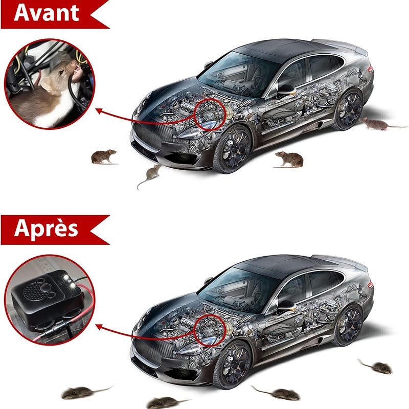 Répulsif Anti-Martres pour Voiture - Anti-Rongeur à Ultrason