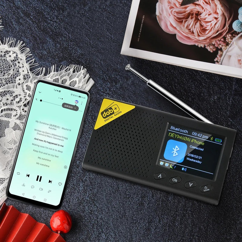 Radio Numérique Terrestre DAB+ FM Portable avec Ecran LCD