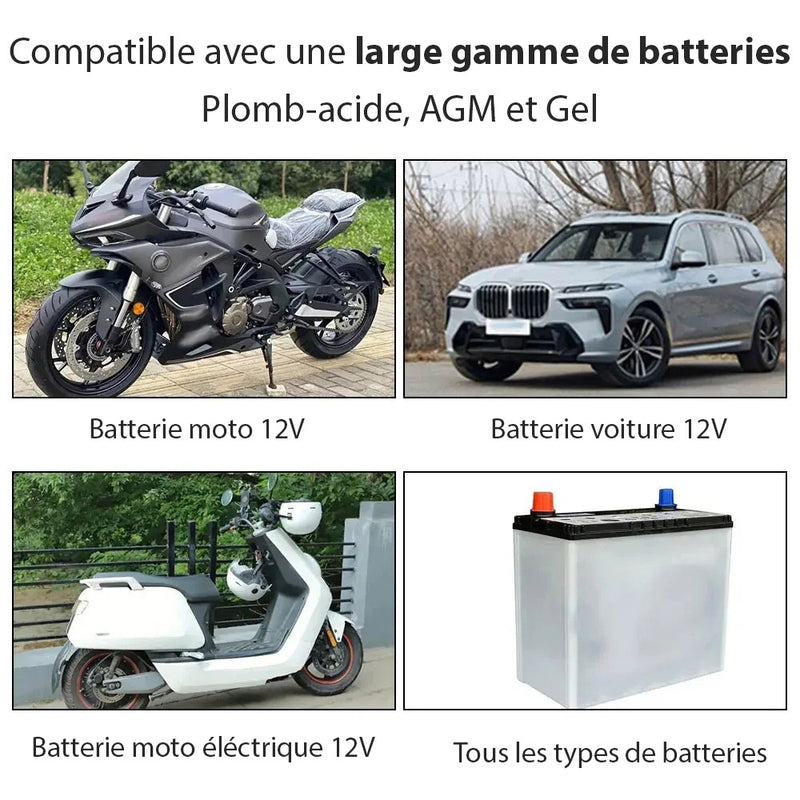 Chargeur de Batterie pour Voiture et Moto