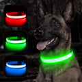 Collier pour chien lumineux et rechargeable