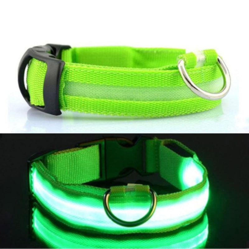 Collier pour chien lumineux et rechargeable