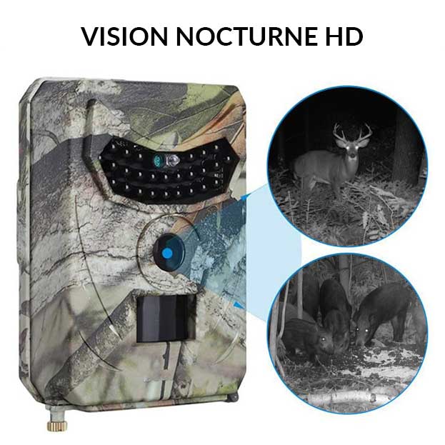 Caméra de chasse HD avec détecteur de mouvement et vision nocturne - 1 caméra