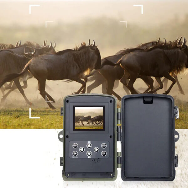 Caméra de chasse HD avec écran Natrusion - Port SIM intégré